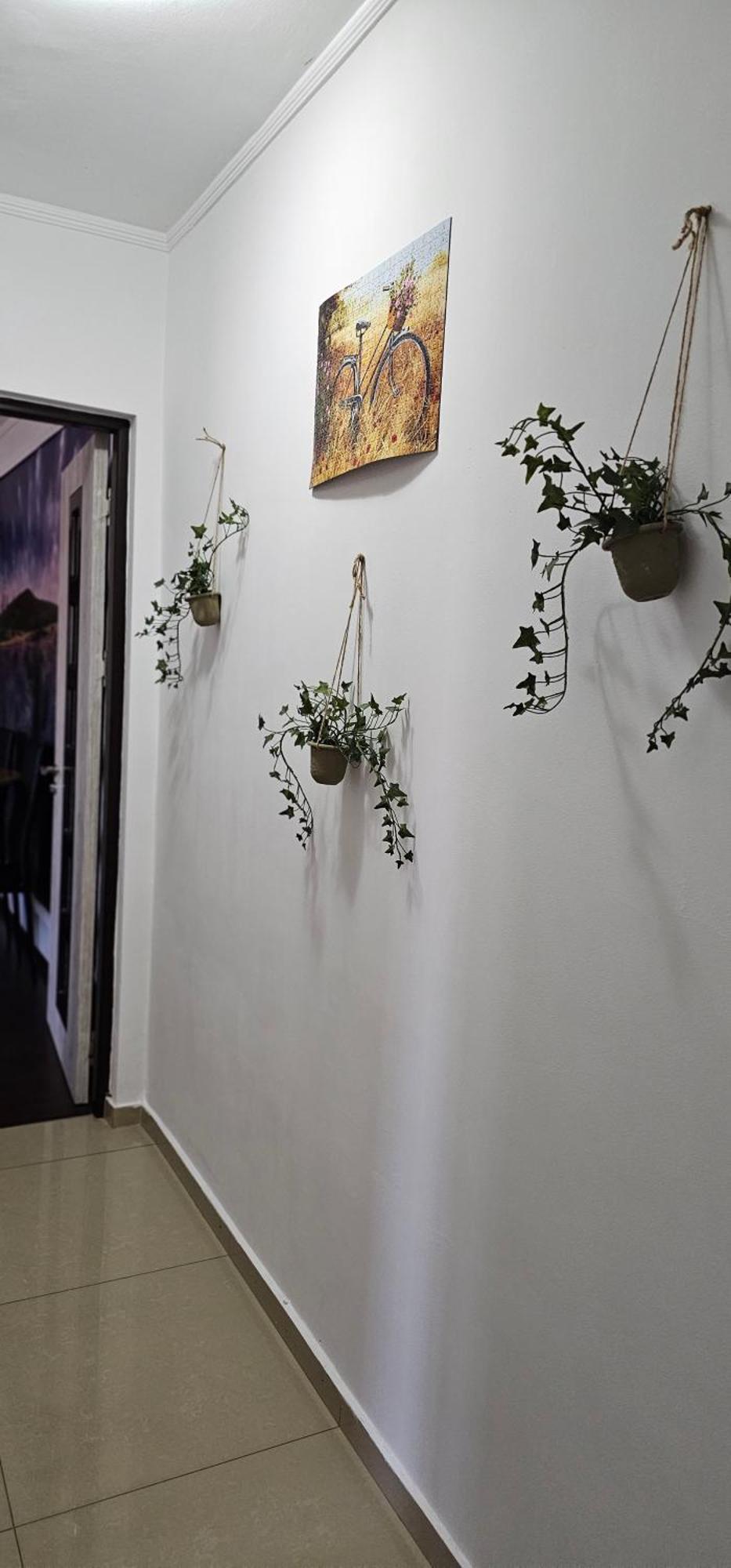Dorian Apart Köstence Dış mekan fotoğraf